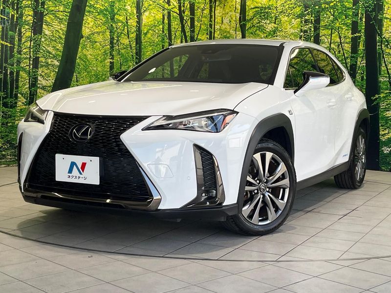 2019 Lexus UX 6AA-MZAH10 (UW-6a8fabc82bd45)[0]