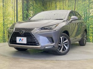 2018 Lexus NX DBA-AGZ10