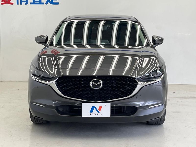 2019 Mazda CX-30 3DA-DM8P (UW-6a90fb3a94825)[13]