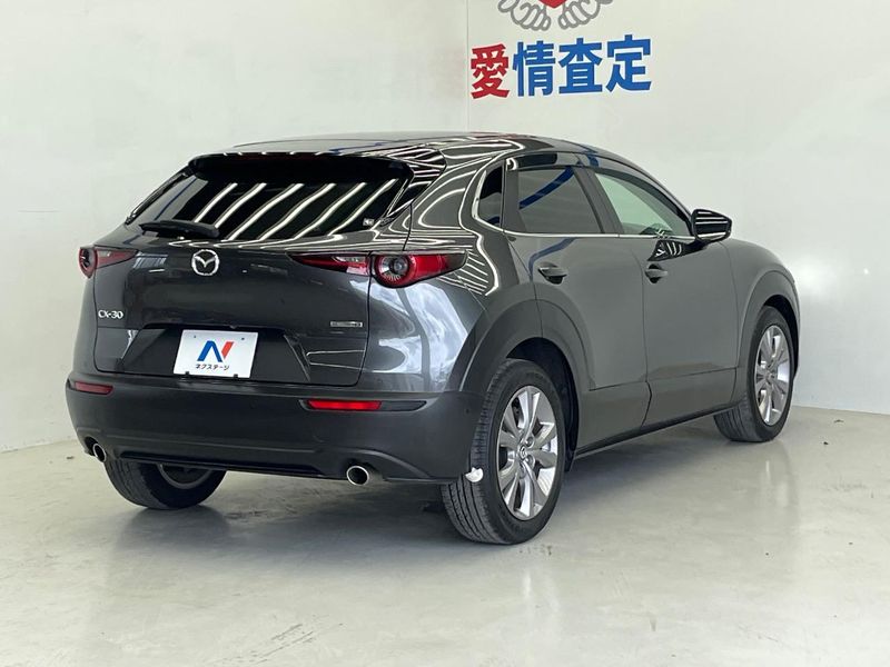 2019 Mazda CX-30 3DA-DM8P (UW-6a90fb3a94825)[19]