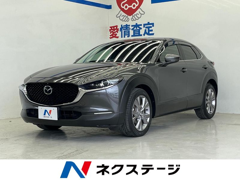 2019 Mazda CX-30 3DA-DM8P (UW-6a90fb3a94825)[3]