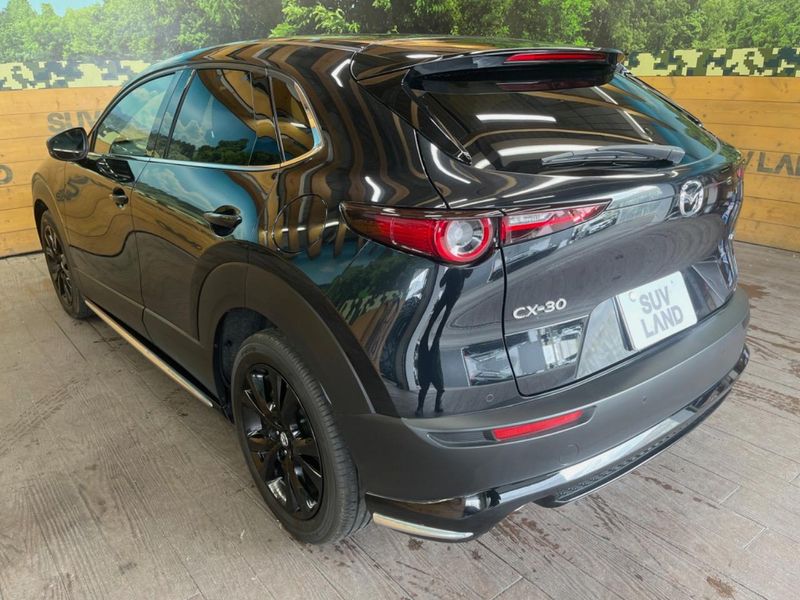 2023 Mazda CX-30 3DA-DM8P (UW-6a90fb3b8d072)[25]