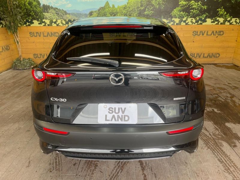 2023 Mazda CX-30 3DA-DM8P (UW-6a90fb3b8d072)[23]