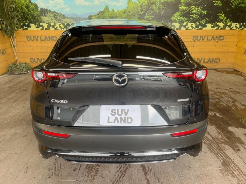 2023 Mazda CX-30 3DA-DM8P (UW-6a90fb3b8d072)[24]