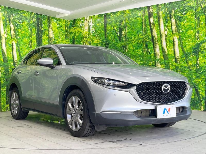 2019 Mazda CX-30 5BA-DMEP (UW-6a90fb3d2b4c5)[10]