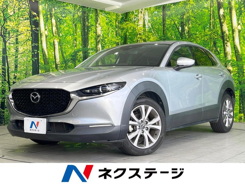 2019 Mazda CX-30 5BA-DMEP (UW-6a90fb3d2b4c5)[3]