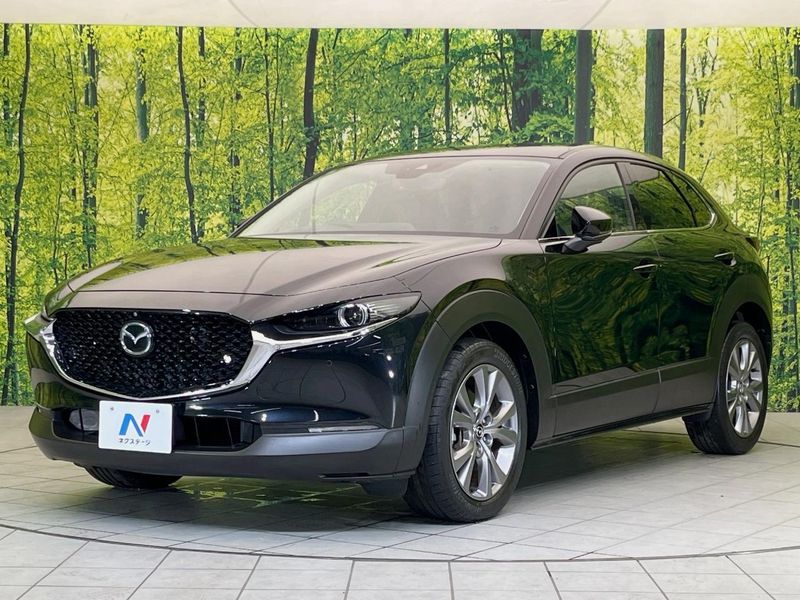 2021 Mazda CX-30 5BA-DMEP (UW-6a90fb3e7043a)[28]