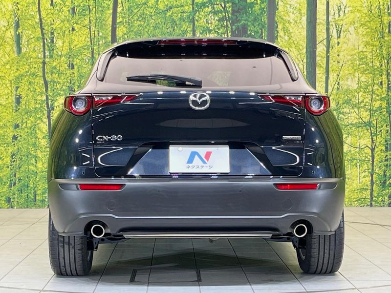2021 Mazda CX-30 5BA-DMEP (UW-6a90fb3e7043a)[26]