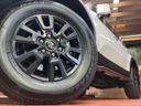 2025 Toyota Land Cruiser 250 3BA-TRJ250W (UW-6a90fdeb3d220)[9]
