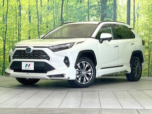 2022 Toyota RAV4 6AA-AXAH54