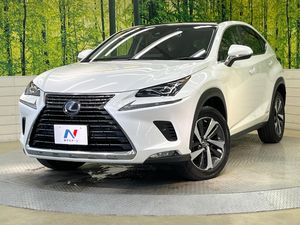 2019 Lexus NX DAA-AYZ10