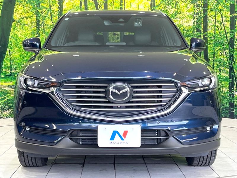 2019 Mazda CX-8 3da-kg2p (UW-6a924dcfc2740)[21]