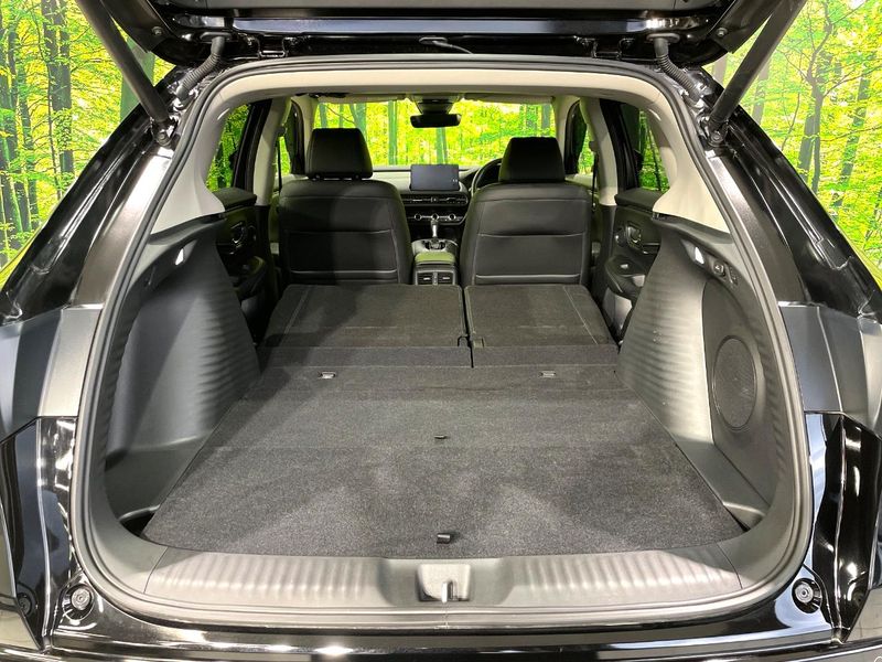 2024 Honda ZR-V 5BA-RZ3 (UW-6a924f535b31e)[9]