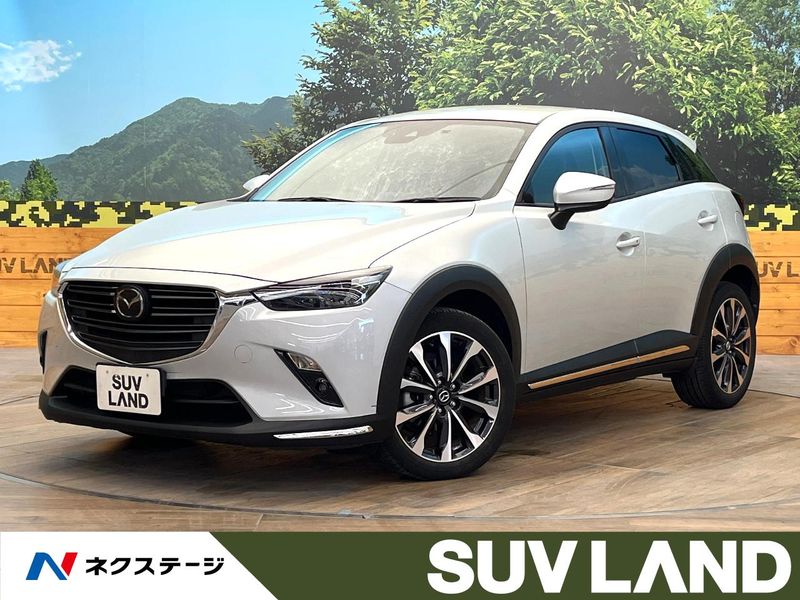 2021 Mazda CX-3 3DA-DK8FW (UW-6a939e4f315c0)[3]