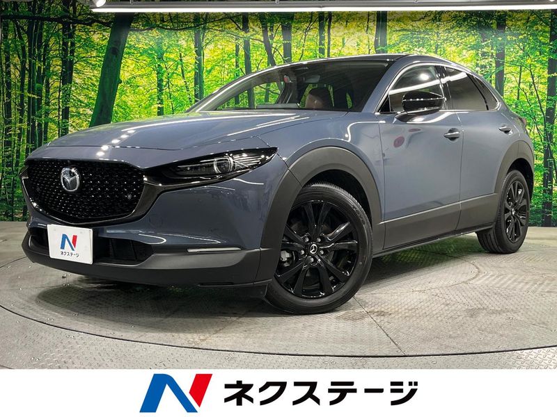 2025 Mazda CX-30 5AA-DMEJ3R (UW-6a939e525b625)[3]