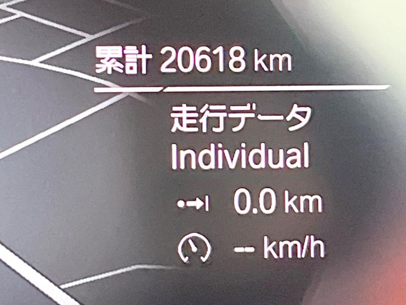 2022 BMW 3 Series 3DA-5V20 (UW-6a93a1446a60d)[2]
