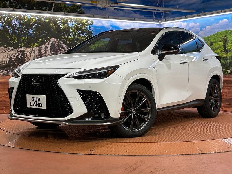 2024 Lexus NX 6AA-AAZH20 (UW-6a94ef168a313)[0]