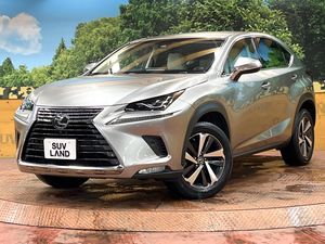 2018 Lexus NX DBA-AGZ10