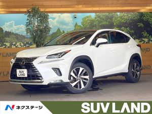 2020 Lexus NX 3BA-AGZ10