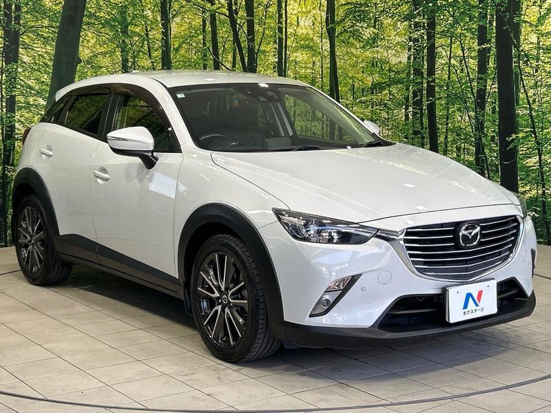 2015 Mazda CX-3 LDA-DK5FW (UW-6a94efc8103e8)[22]