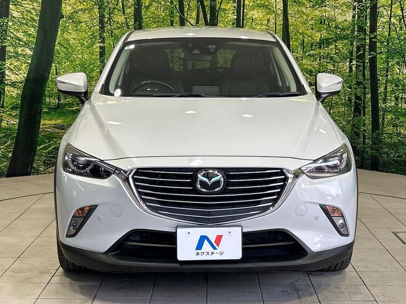 2015 Mazda CX-3 LDA-DK5FW (UW-6a94efc8103e8)[21]