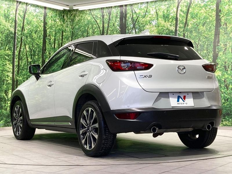 2018 Mazda CX-3 3DA-DK8FW (UW-6a94efc96efac)[20]