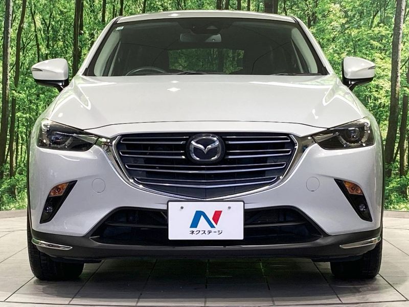 2018 Mazda CX-3 3DA-DK8FW (UW-6a94efc96efac)[5]