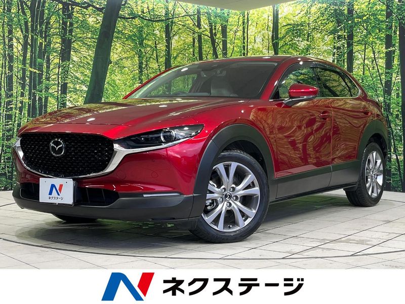2020 Mazda CX-30 3DA-DM8P (UW-6a94efca83bed)[3]
