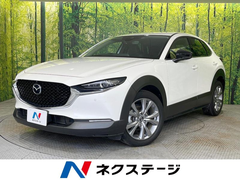 2023 Mazda CX-30 5AA-DMEJ3P (UW-6a94efcbd0ef3)[3]