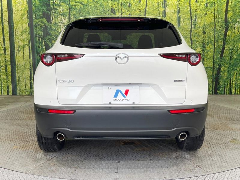 2023 Mazda CX-30 5AA-DMEJ3P (UW-6a94efcbd0ef3)[7]
