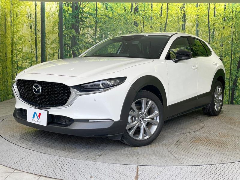 2023 Mazda CX-30 5AA-DMEJ3P (UW-6a94efcbd0ef3)[0]