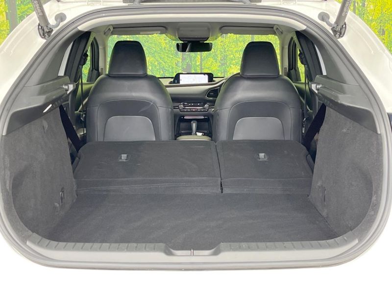 2023 Mazda CX-30 5AA-DMEJ3P (UW-6a94efcbd0ef3)[17]