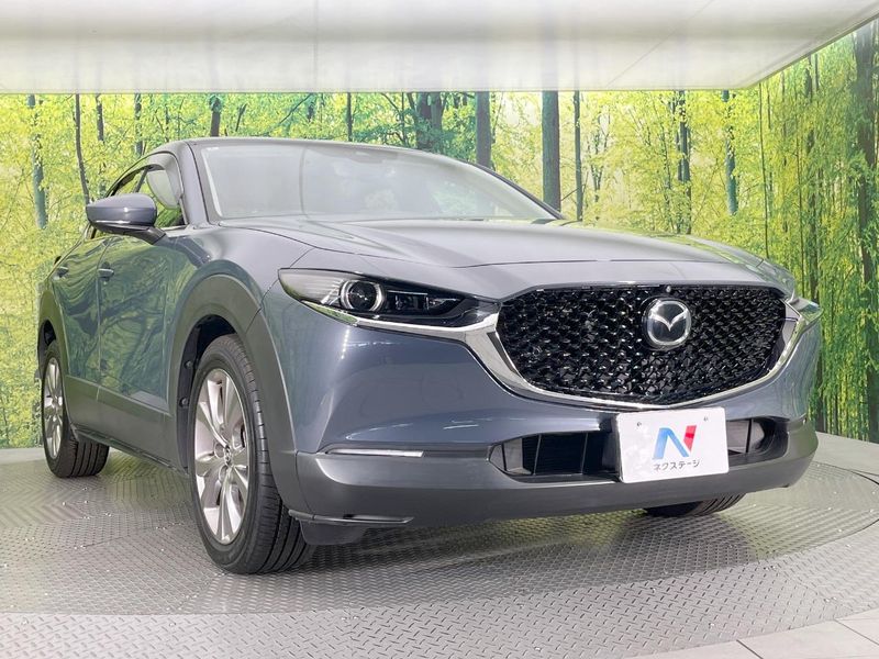 2020 Mazda CX-30 5BA-DMEP (UW-6a94efcd2acc3)[19]