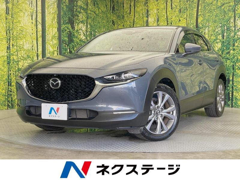 2021 Mazda CX-30 5BA-DMEP (UW-6a94efcd9b4ae)[3]
