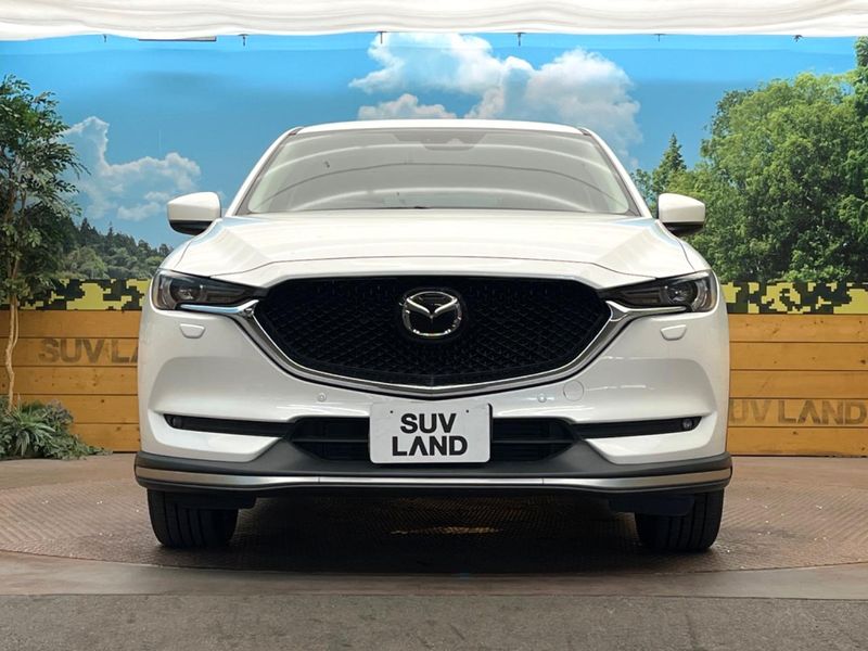 2017 Mazda CX-5 LDA-KF2P (UW-6a94f0deac545)[11]