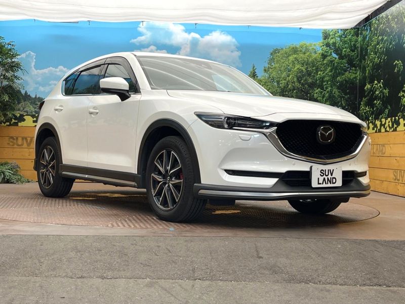 2017 Mazda CX-5 LDA-KF2P (UW-6a94f0deac545)[10]