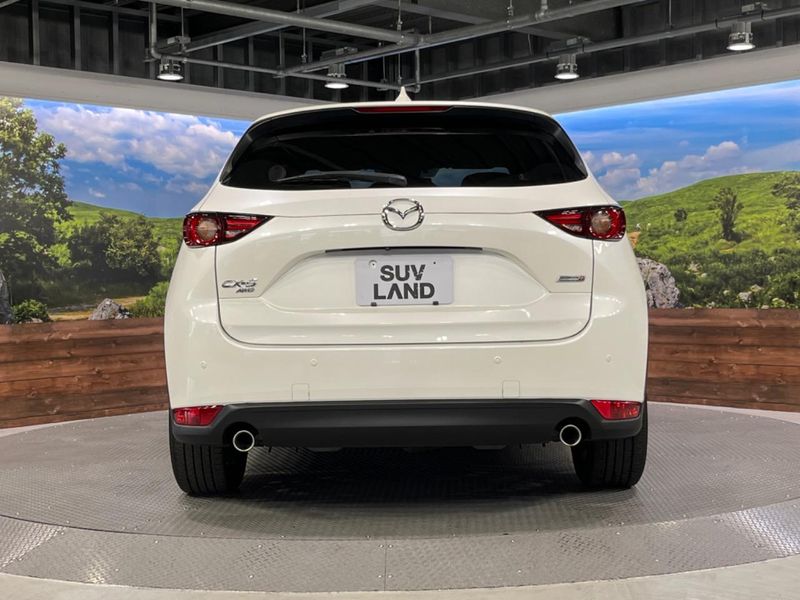 2019 Mazda CX-5 3DA-KF2P (UW-6a94f0e2df897)[10]
