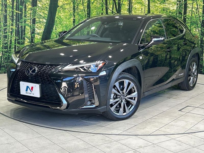 2020 Lexus UX 6AA-MZAH10 (UW-6a94f21c1943d)[0]