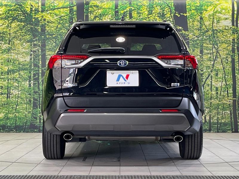 2019 Toyota RAV4 6AA-AXAH54 (UW-6a9640ef4d88a)[9]