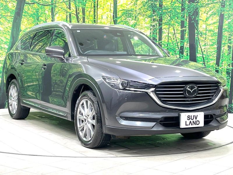 2018 Mazda CX-8 3da-kg2p (UW-6a9642918f89d)[5]