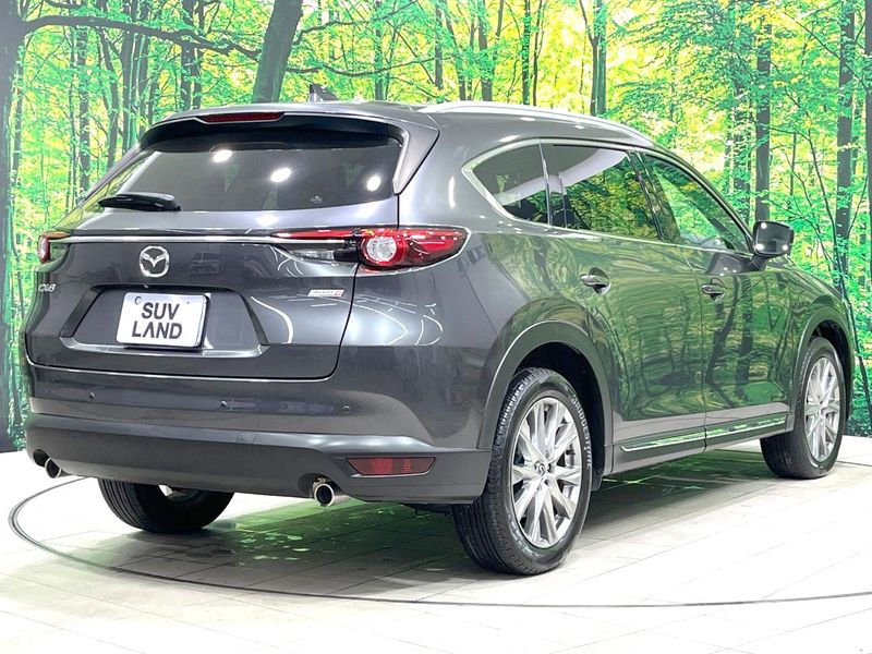 2018 Mazda CX-8 3da-kg2p (UW-6a9642918f89d)[11]