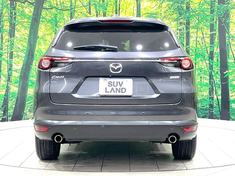 2018 Mazda CX-8 3da-kg2p (UW-6a9642918f89d)[10]