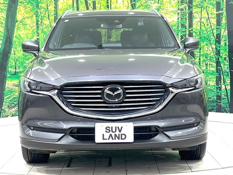 2018 Mazda CX-8 3da-kg2p (UW-6a9642918f89d)[6]