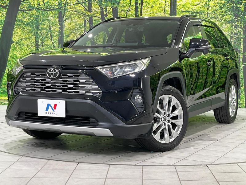 2019 Toyota RAV4 6BA-MXAA54 (UW-6a9643854a58c)[0]