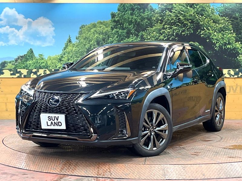 2021 Lexus UX 6AA-MZAH10 (UW-6a9643d12dbfd)[0]