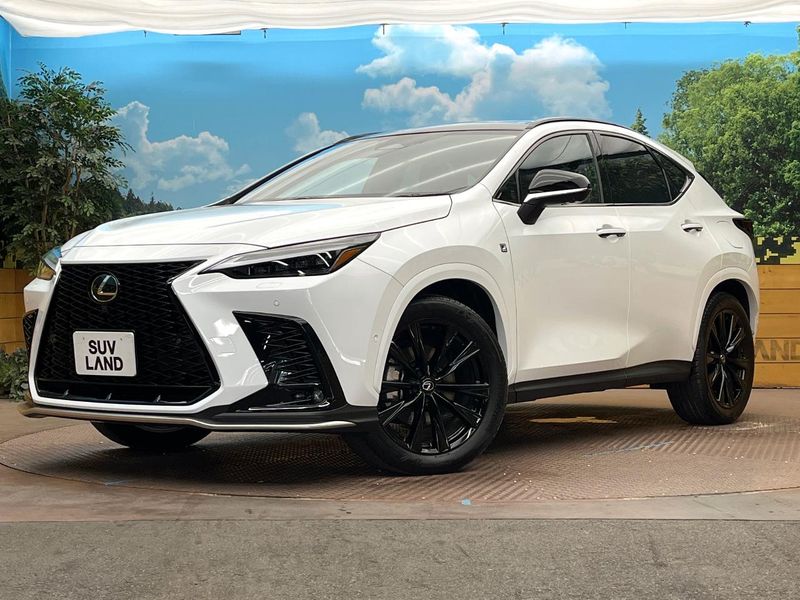 2024 Lexus NX 6AA-AAZH20 (UW-6a97922db0b1c)[0]