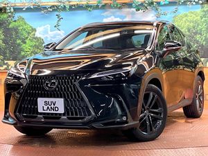 2022 Lexus NX 6AA-AAZH25