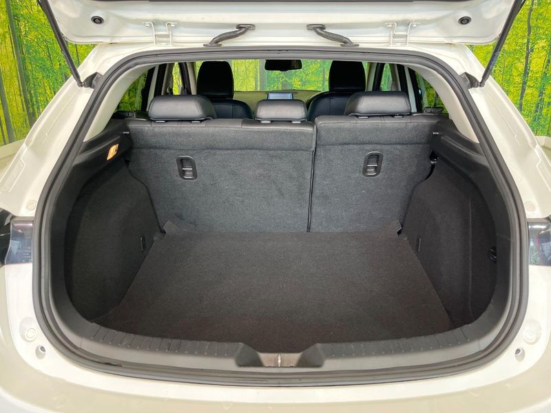 2016 Mazda Axela Sports LDA-BMLFS (UW-6a9792cbc2956)[19]
