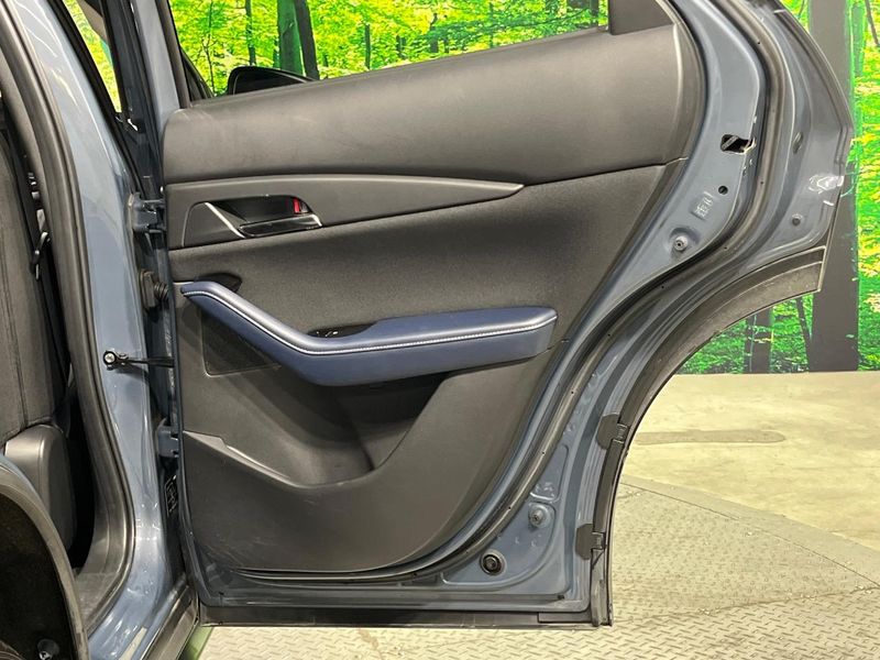 2019 Mazda CX-30 3DA-DM8P (UW-6a9792ef64aa4)[9]