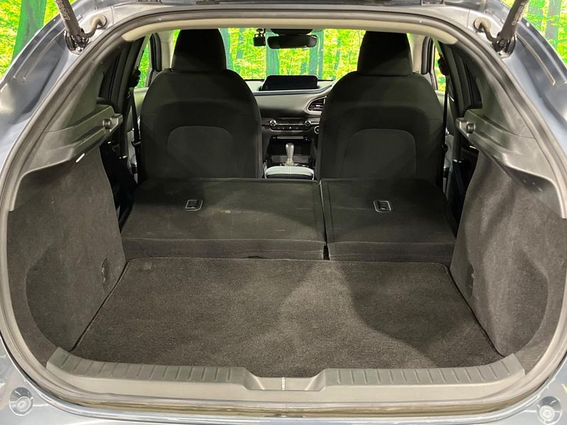 2019 Mazda CX-30 3DA-DM8P (UW-6a9792ef64aa4)[11]